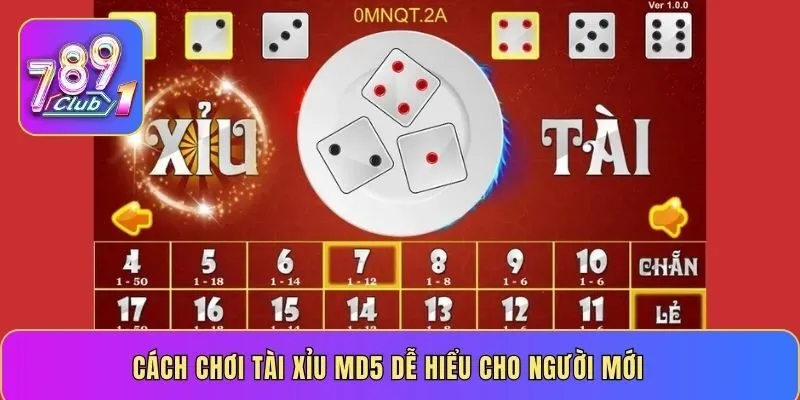 Cách chơi Tài Xỉu MD5 dễ hiểu cho người mới