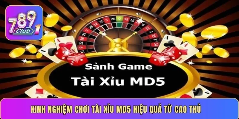 Kinh nghiệm chơi Tài Xỉu MD5 hiệu quả từ cao thủ